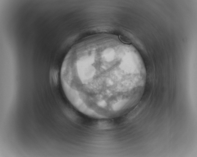 X0000111360070200907311021