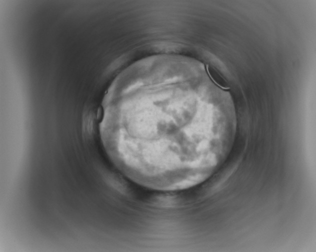 X0000111360071200907311021