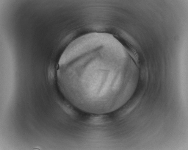 X0000111360072200907311021