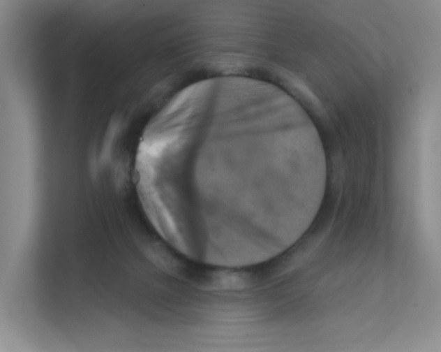 X0000111360073200907311021