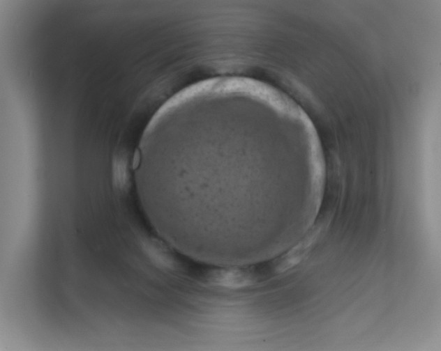 X0000111360074200907311021