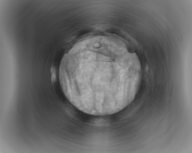 X0000111360075200907311021