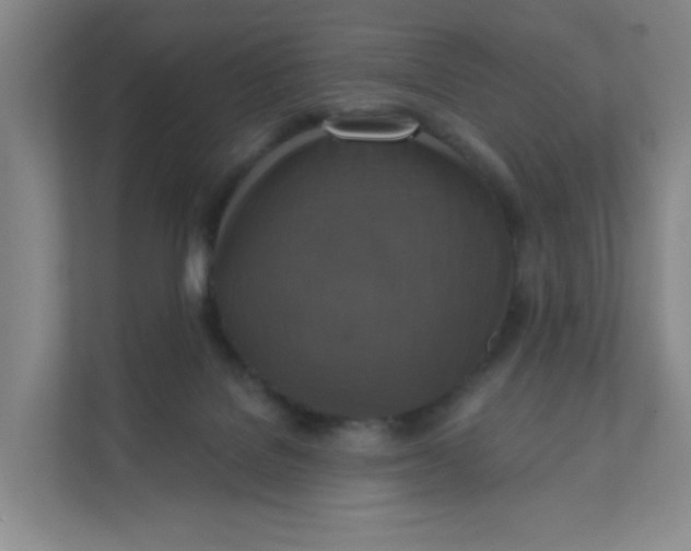 X0000111360076200907311021