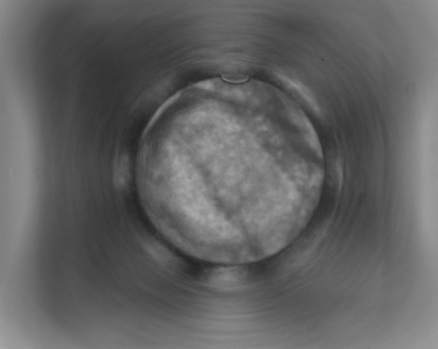 X0000111360077200907311021