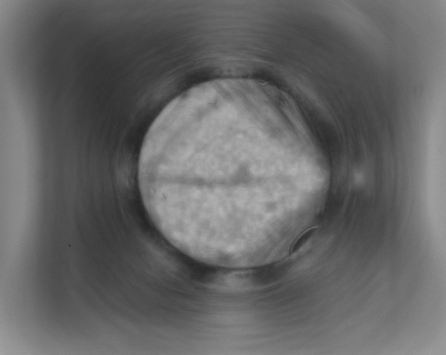 X0000111360078200907311021