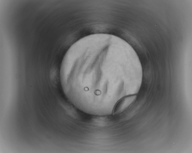 X0000111360079200907311021