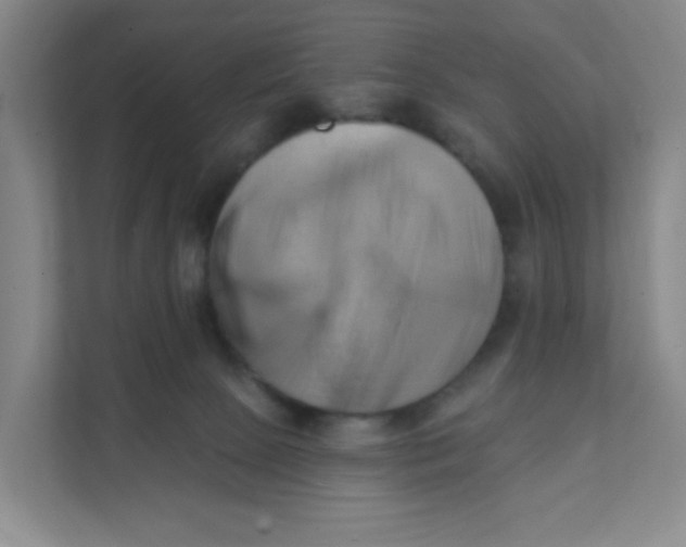 X0000111360081200907311021