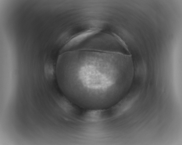 X0000111360084200907311021