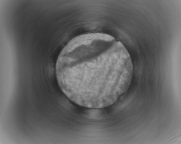 X0000111360085200907311021