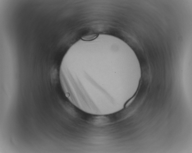 X0000111360087200907311021