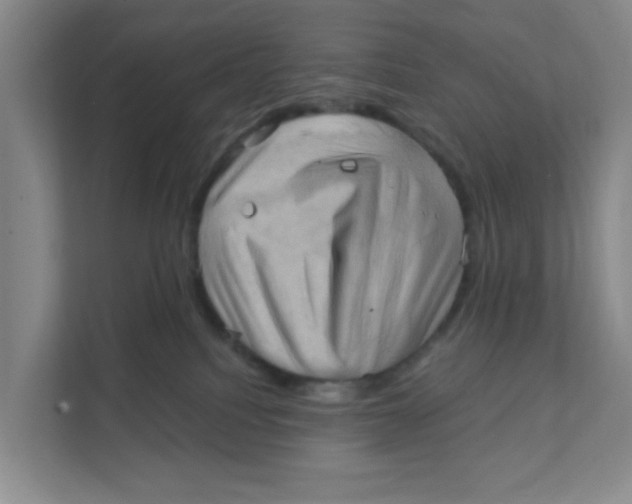 X0000111360088200907311021