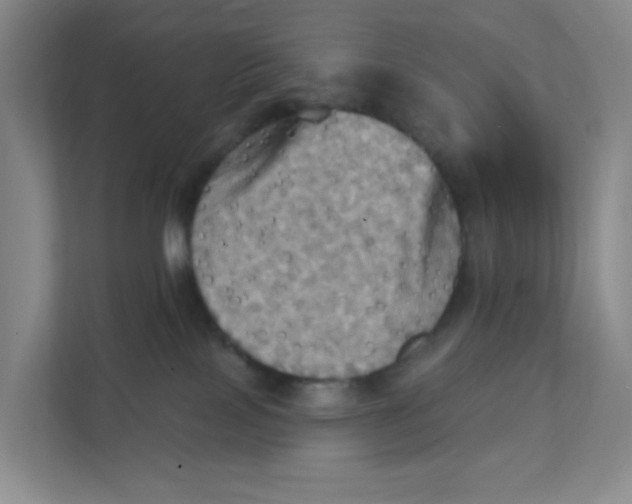 X0000111360089200907311021