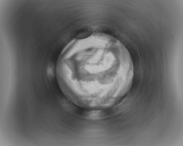 X0000111360090200907311021