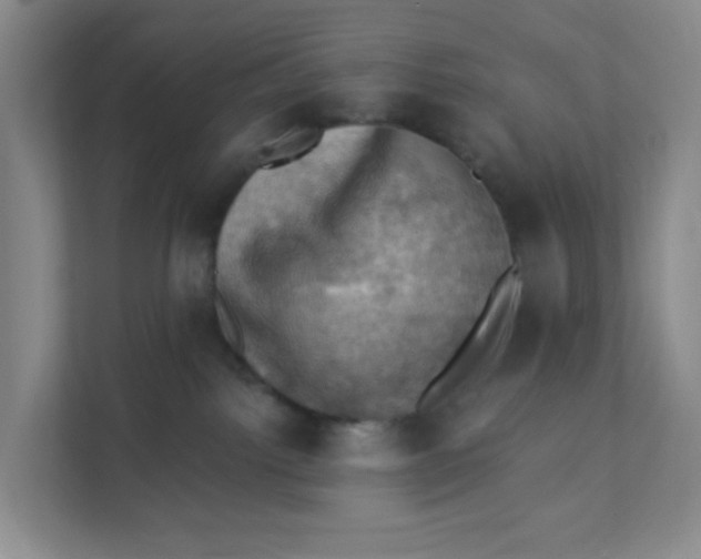 X0000111360092200907311021