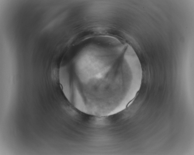 X0000111360093200907311021