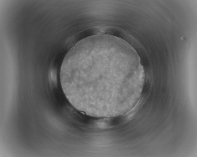 X0000111360094200907311021