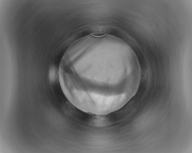 X0000111360095200907311022