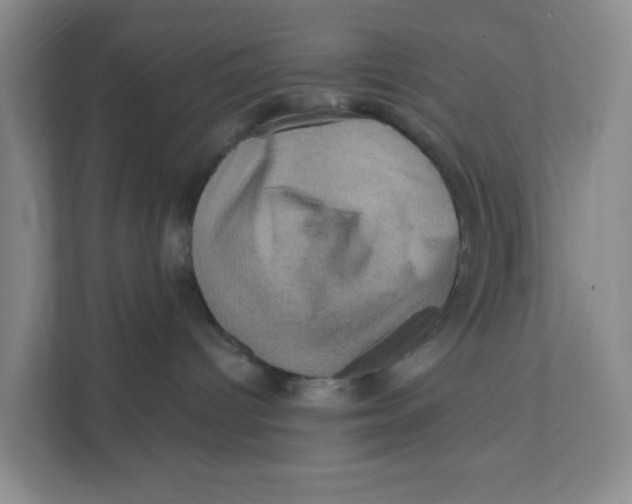 X0000111360096200907311022