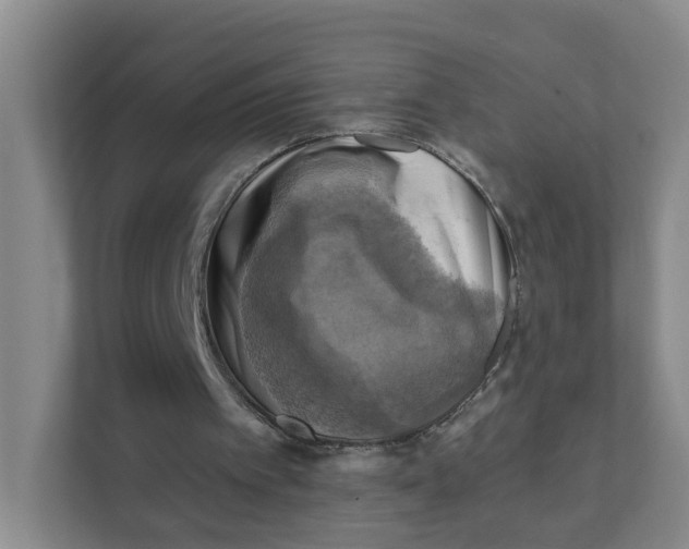 X0000111360097200907311021