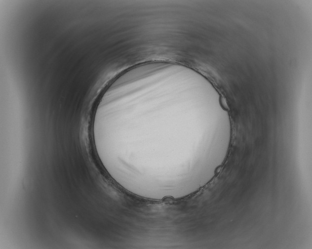 X0000111360098200907311021