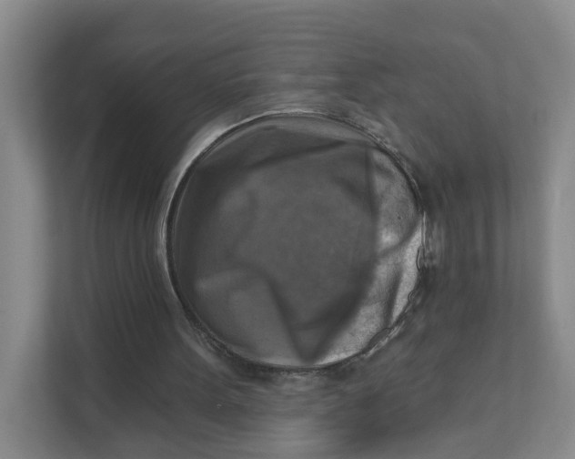 X0000111360099200907311021