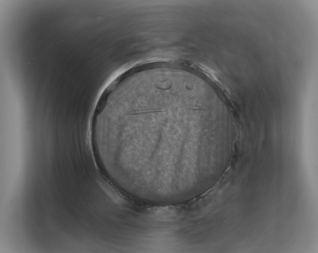 X0000111360100200907311021