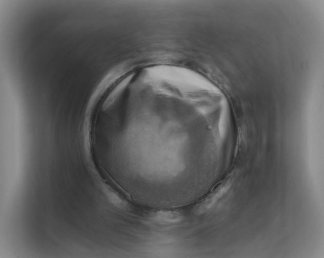 X0000111360101200907311021