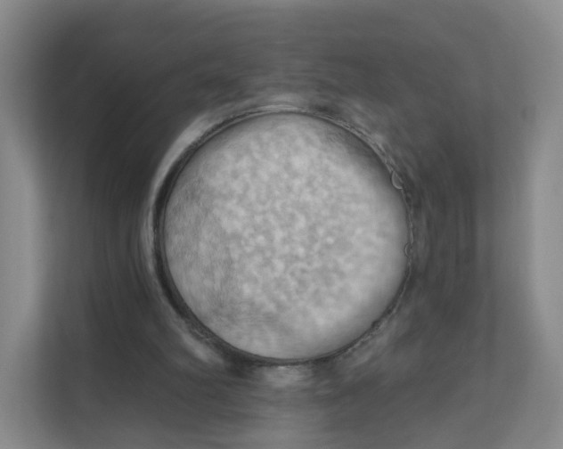 X0000111360102200907311021