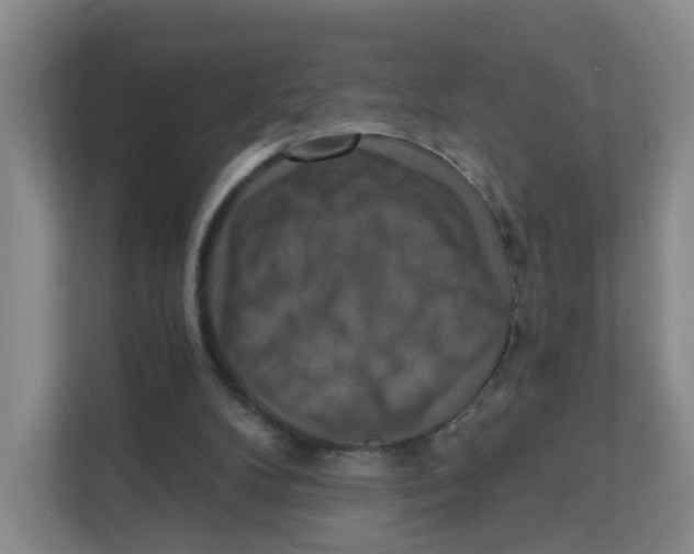 X0000111360104200907311021