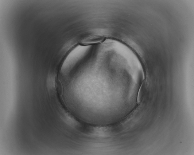 X0000111360105200907311021