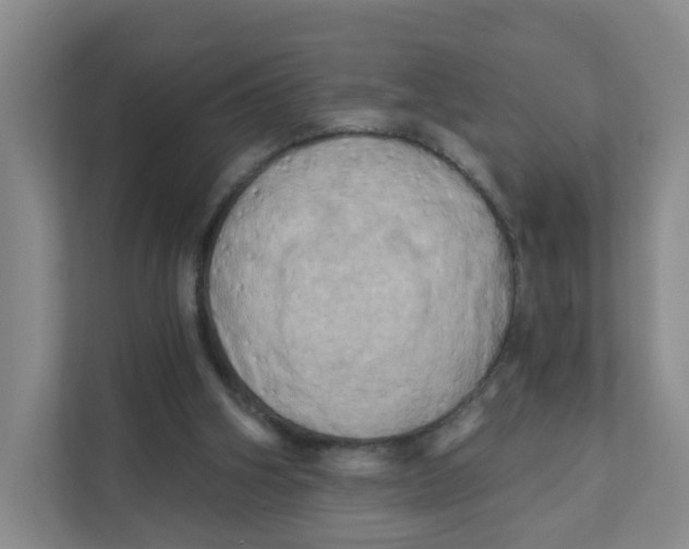 X0000111360106200907311021