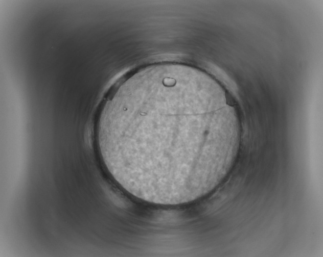 X0000111360107200907311021