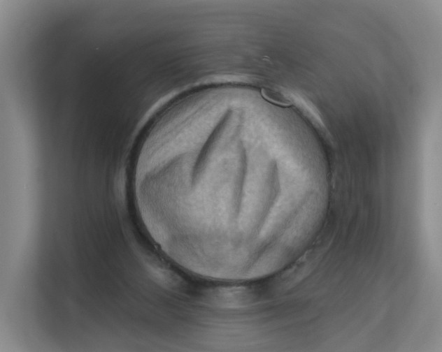 X0000111360108200907311021