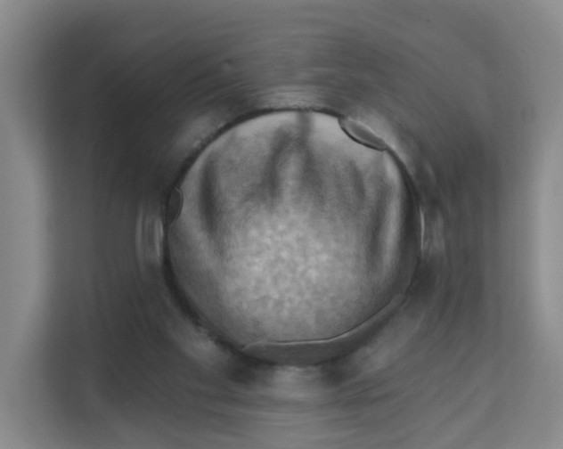 X0000111360109200907311021