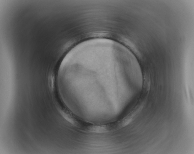 X0000111360110200907311021