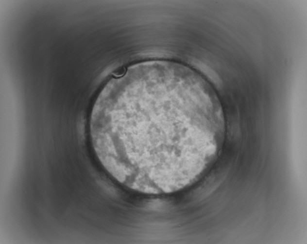 X0000111360111200907311021