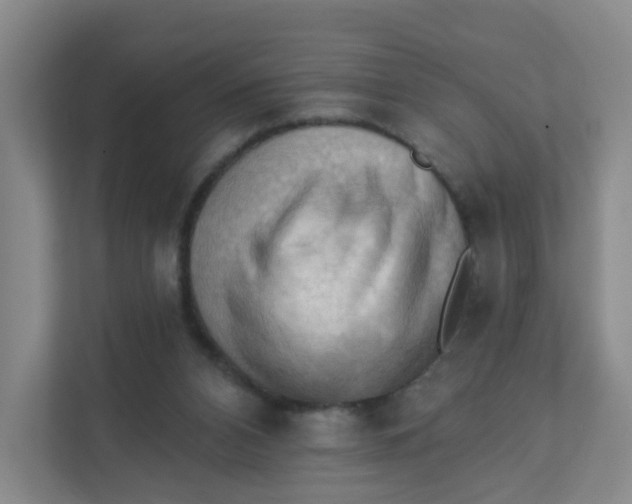 X0000111360112200907311021