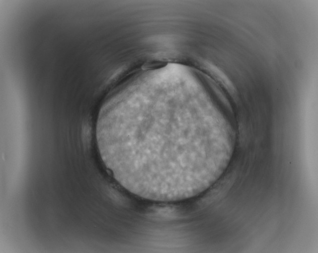 X0000111360113200907311021