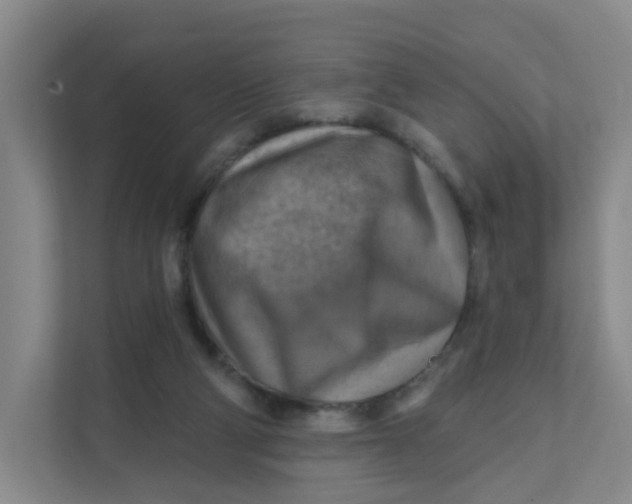 X0000111360114200907311021