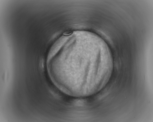 X0000111360115200907311021