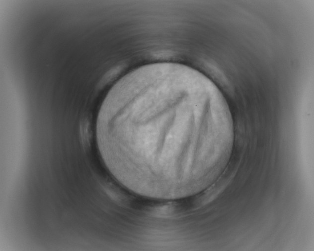 X0000111360116200907311021