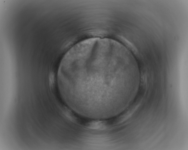 X0000111360117200907311021