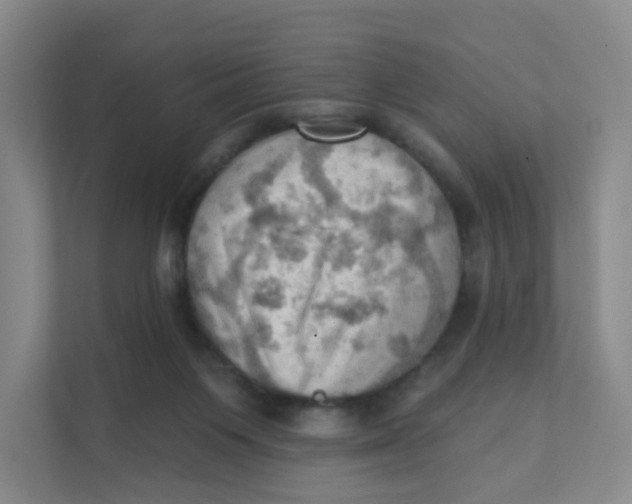 X0000111360119200907311021