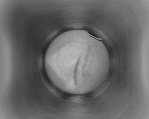 X0000111360120200907311021