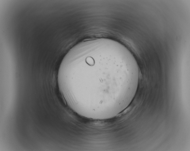 X0000111360121200907311021