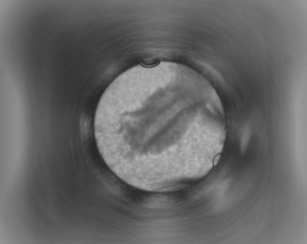 X0000111360123200907311021