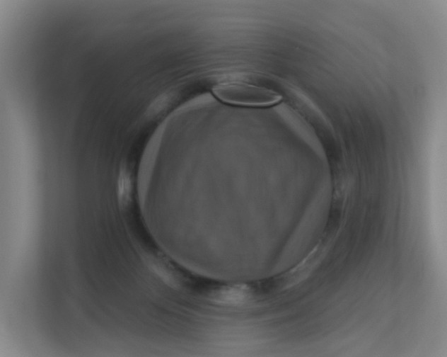 X0000111360124200907311021