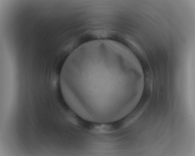 X0000111360125200907311021