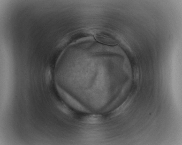 X0000111360128200907311020