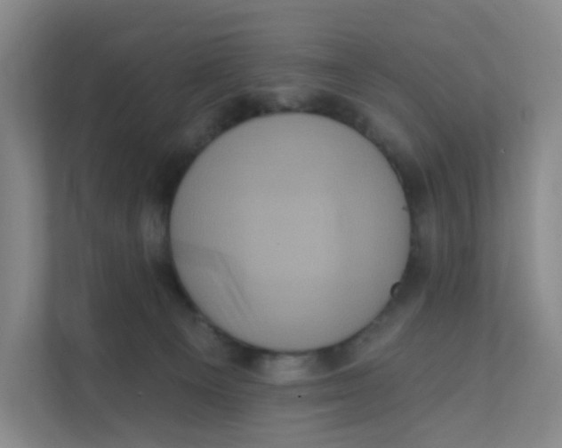 X0000111360129200907311020